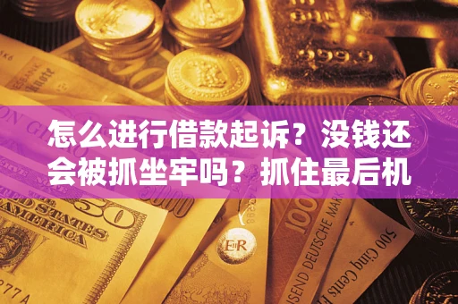 济南怎么进行借款起诉？没钱还会被抓坐牢吗？抓住最后机会！