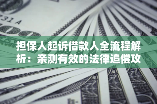 济南担保人起诉借款人全流程解析：亲测有效的法律追偿攻略