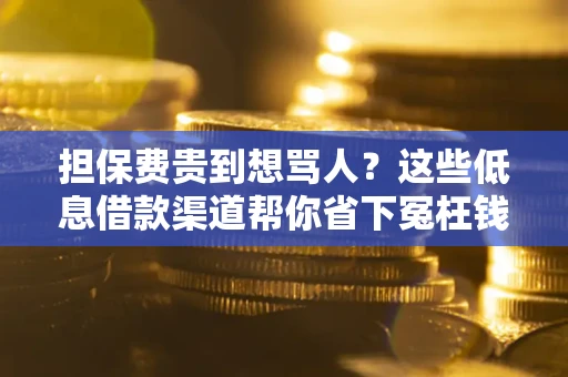 济南担保费贵到想骂人？这些低息借款渠道帮你省下冤枉钱