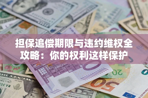 济南担保追偿期限与违约维权全攻略：你的权利这样保护
